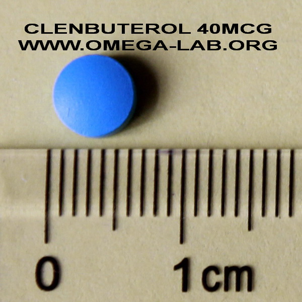 Free sample clenbuterol 40mcgx 10 tablets