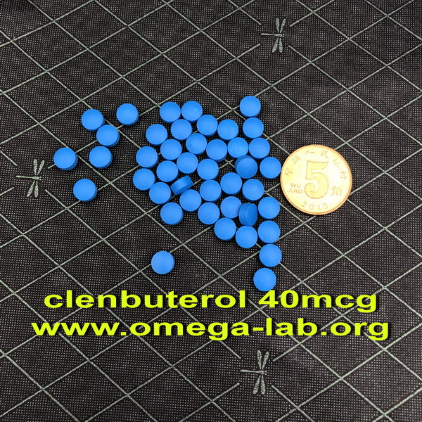 clenbuterol 40mcgx 100 tablets