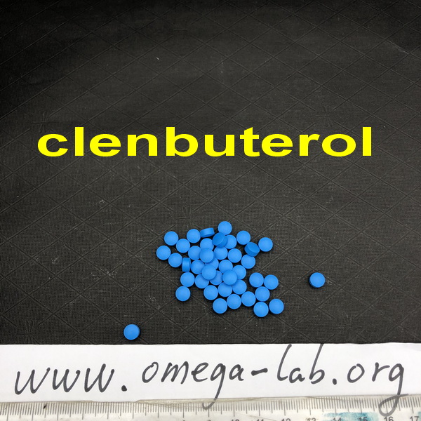 Clenbuterol 40mcg images 2 - Click Image to Close