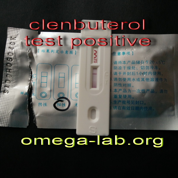 Clenbuterol stack