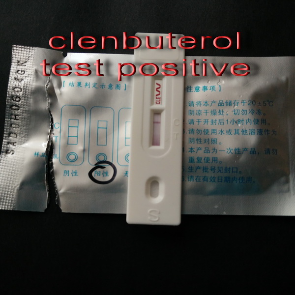 Clenbuterol is not a Hormone