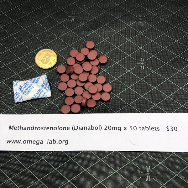 Methandrostenolone Dianabol 20mg x 50 tablets - Click Image to Close